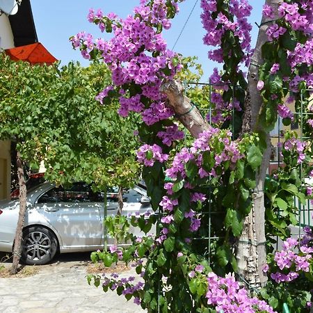Apartment And Rooms Katica Biograd Na Moru Exterior foto